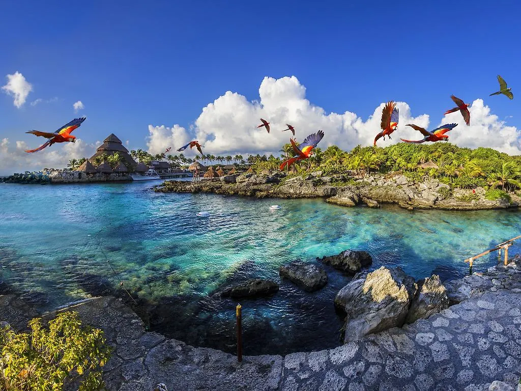 Occidental at Xcaret Destination - All Inclusive Playa del Carmen Resort