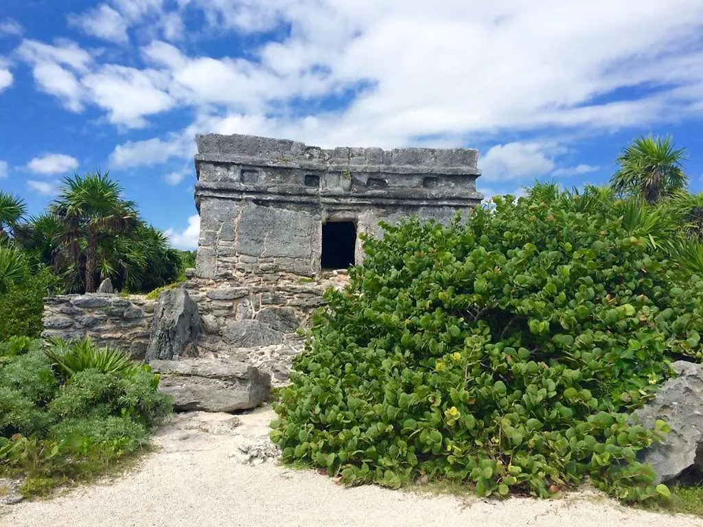 Θέρετρο Occidental At Xcaret Destination Ξενοδοχείο Πλάγια Ντελ Κάρμεν