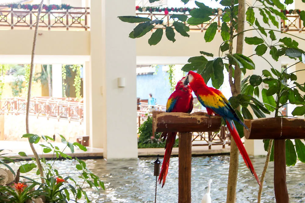 Occidental At Xcaret Destination Ξενοδοχείο Πλάγια Ντελ Κάρμεν
